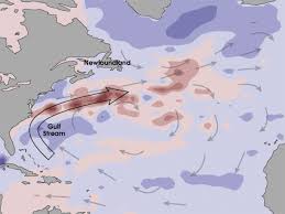Auch sind die in europa milderen temperaturen vermutlich. Der Golfstrom Schwachelt Zackzack At