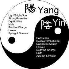 The Meaning Of Yinyang Reiki Healing Chinese Medicine Traditional Chinese Medicine