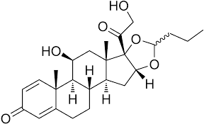 You can find budesonide for the best price. Ø¨ÙˆØ¯ÙŠØ²ÙˆÙ†ÙŠØ¯ ÙˆÙŠÙƒÙŠØ¨ÙŠØ¯ÙŠØ§