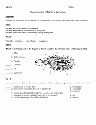 Prokaryotes Bacteria Worksheet Answers Beautiful Worksheet Characteristics Of Bacteria Oise Is Cells Worksheet Prokaryotes Worksheets