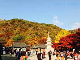 Image result for hàn quốc