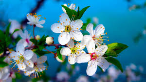 10 Hours Of Relaxing Music Piano Music Positive Music Study Music Madison Youtube