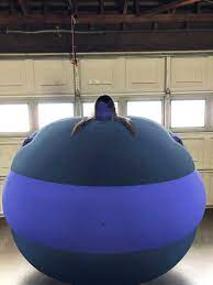 Check spelling or type a new query. The Juicy Round World Of Blueberry Porn