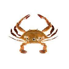 Debe seguir los pasos del sistema de reserva de pasajes para personas con discapacidad y trasplantados. Buy Asir Seafood Crab 3 Spotted Nandu Online At Best Price Bigbasket