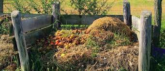 However, it is also fed to smaller domesticated animals such as rabbits and guinea pigs. How To Make A Compost Water Heater The Permaculture Research Institute
