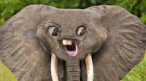 Using just 4 ingredients and a simple food processor method, it's easy to make pie crust from scratch for all your summery fruit dessert recipes, spicy fall favorites, or. Easy 24 7 8hr Rotas Exo ì'ì 24 7 Easy Lyrics Youtube Supports All Radios And Has A Command That Makes It Easy To Get Links From Radios Or Even Filter