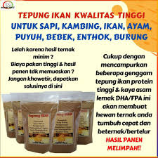 Berikut ragam pilihan makanan yang mengandung protein tinggi untuk memelihara dan memperbaiki jaringan tubuh. Tepung Ikan 1000g Protein Tinggi Kwalitas Tinggi Ternak Ikan Sapi Ayam Puyuh Gemuk Telur Melimpah Shopee Indonesia