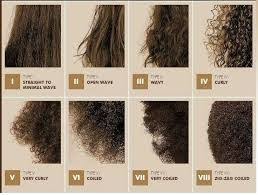 Image Result For Different Types Of Perms Chart Natural