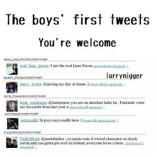 Pin By Martina Denbleyker On M Y B A B I E S One Direction One Direction Memes Directions