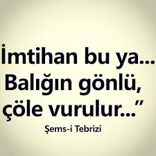 Instagram Photo By Mesut Boyaci Aug 6 2016 At 5 24pm Utc Pozitif Sozler Guzel Soz Alintilar