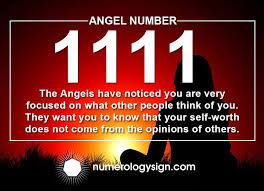 Have You Been Seeing 11 11 Everywhere And Want To Know What It Could Mean Continue Reading For The Ang Angel Number Meanings Angel Number 1111 Number Meanings