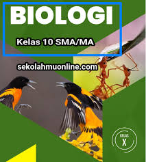 Tahapan dalam penelitian ilmiah, yaitu merumuskan masalah, menentukan hipotesis, mengaji hipotesis, menarik kesimpulan, dan menguji kembali kesimpulan. Rangkuman Biologi Kelas 10 Bab 11 Perubahan Lingkungan Sekolahmuonline