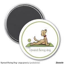 Upward Facing Dog Yoga Pose Magnet Zazzle Com In 2020 Dog Yoga Upward Facing Dog Dog Gifts