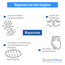 Das bedeutet, der körper kann eine größere menge sehr schnell aufnehmen. Magnesiummangel Symptome Ursachen Und Behandlung