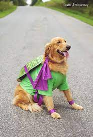 Fun Teenage Mutant Ninja Turtle Dog Costume Diy Dog Costumes Dog Halloween Pet Halloween Costumes