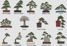 Check spelling or type a new query. How To Make A Bonsai For Beginners The Whoot