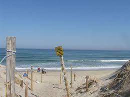 Cape Cod Nauset Beach Cape Cod Beaches Cape Cod Beaches In The World