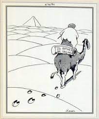 So what are camel humps filled with? 390 Fantastic Far Side Ideas In 2021 Far Side Cartoons Far Side Comics Gary Larson Cartoons