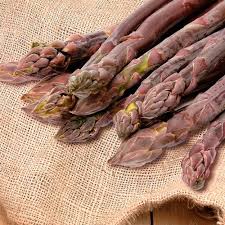 Image result for Asparagus buchananii