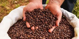 More than 80% of the coffee grown in costa rica has perfect growing conditions; Tour A Costa Rica Coffee Plantation For The Ultimate Java Fix