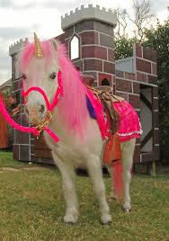 Maybe you would like to learn more about one of these? Www Dallaspony Com Pferde Party Pony Party My Little Pony Geburtstag