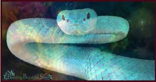 Dreams About Snakes The Complete Guide To Snake Dream Symbols Meanings Dream Symbols Snake Dream Interpretation