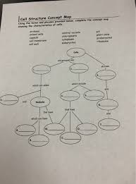 Cell Structure Concept Map Using The Terms And Chegg Com