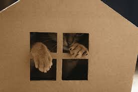 Accueil mes chaussures comment faire une cabane en carton ? Comment Fabriquer Une Maison En Carton Pour Chat Les Produits