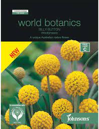 We did not find results for: Billy Button Woollyheads Australian Native Flower Seeds Flower Seeds By Mr Fothergills