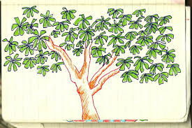 15 Best New Pencil Papaya Tree Drawing Barnes Family Papaya trees are trees that may be grown with the farming skill. 15 best new pencil papaya tree drawing