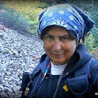 Homecomings by Risa Stephanie Bear