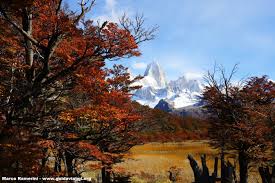 La patagonia chilena tiene mucho por ver y hacer. Los Colores Del Otono En La Patagonia Chilena Y Argentina Guia De Viajes
