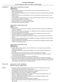 An it director's resume has to present high responsibility, experience in management and versatile knowledge of the applicant. Director It Infrastructure Resume Samples Velvet Jobs