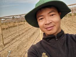 Vietnamese quit high-paying jobs in quest for work-life balance