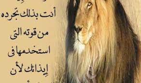 حكم عن الصور صور صور مع حكم وامثال أكتب اسمك على الصور arabic quotes animals
