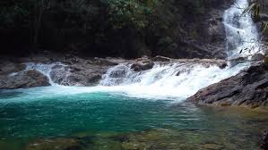 Please choose a different date. 6 Lokasi Pelancongan Eko Rimba Terengganu Yang Wajib Anda Terokai Makanlena