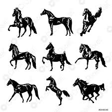 Weitere ideen zu kostenlose bilder, kostenlos, feuerwerk bilder. Pferd Tier Haustier Saugetier Tatowierung Schwarze Silhouette Symbol Stock Vektorgrafi Crushpixel