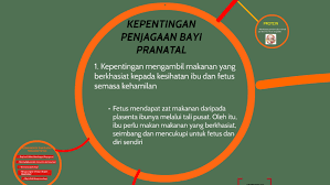 Kenapa berbahaya merokok semasa kehamilan? Kepentingan Penjagaan Bagi Pranatal By Rita Rahayu