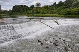 Forests and wetlands help to prevent or reduce costly climate change andflooding impacts, manages drought, contributes to tourism, fisheries, forestry, agriculture and mining industries. A Winning Partnership Conservation Districts And The Nrcs Watershed Stewardship Program Nacd