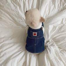 fluff おしゃれまとめの人気アイデア pinterest