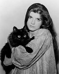 We did not find results for: Katharine Ross Wikipedia