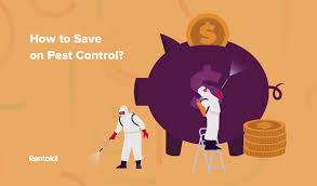 I've heard origin pest bed bugs multiply quickly, it doesn't matter how many times you call the pest control, as long as a skimping might cost you more in the long term. Rentokil Shares How Much Pest Control Costs In Singapore