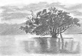  Hasil Gambar Untuk Sketsa Gambar 2 Dimensi Pemandangan Sketsa Lukisan Gambar Flora Dan Fauna