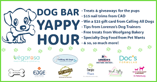2300 central avenue, saint petersburg. Home The Dog Bar