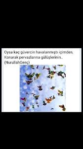 Oysa Kac Guvercin Havalanmisti Icimden Konarak Pervazlarina Guluslerinin Nurullah Genc Pervaz Guzel Soz Edebiyat