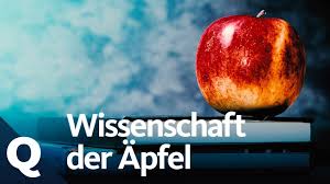 Wunderbare rezepte von süß bis pikant. Der Apfel Alles Was Du Wissen Musst Quarks Youtube