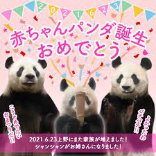 ちゃんみなのライブ情報、メディア情報などを随時upしていきます。 see more of ちゃんみな on facebook. O Vrkxujgjiyam
