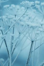 See the best aesthetic iphone home screen wallpapers collection. Ipad Snow Winter Flower Blue Nature Bokeh Iphone 7 Wallpaper Iphone7wallpapers Co