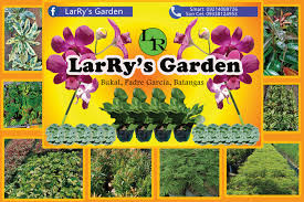And just the other day, a neighbor told me that he was glad i was able to save my tree by having it replanted and staked immediately. Larry S Garden Home Facebook