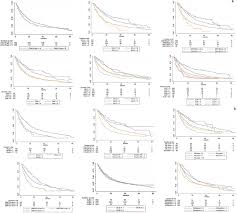 In addition, she receives weekly speech therapy, attends the melinda webb school/center for hearing and speech. Kaplan Meier Curves For Overall Survival Of Patients According To A Download Scientific Diagram